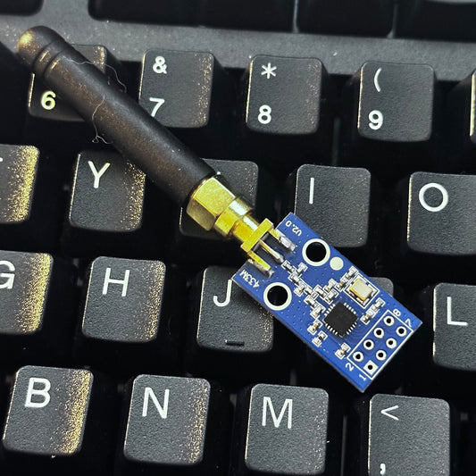 CC1101 Radio Module